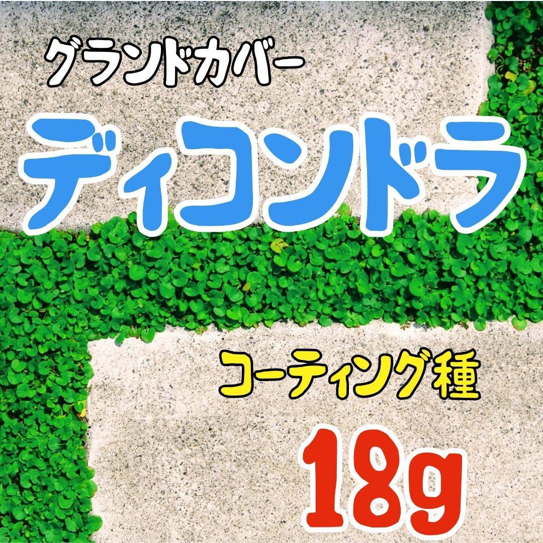 Amazon.co.jp: ディコンドラ（ダイカンドラ） 種 18g以上 グランド